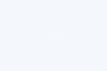 Ламинат Falquon Blue Line Uni БЕЗ ФАСКИ МАТОВЫЙ фото 1 | FLOORDEALER